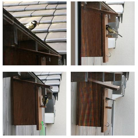 Leider seit dem 18. Mai fl&uuml;gge...